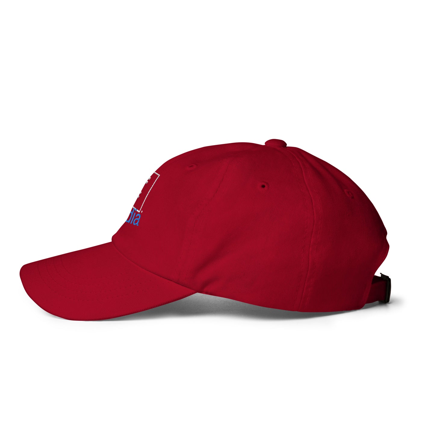 FFBF media Dad hat